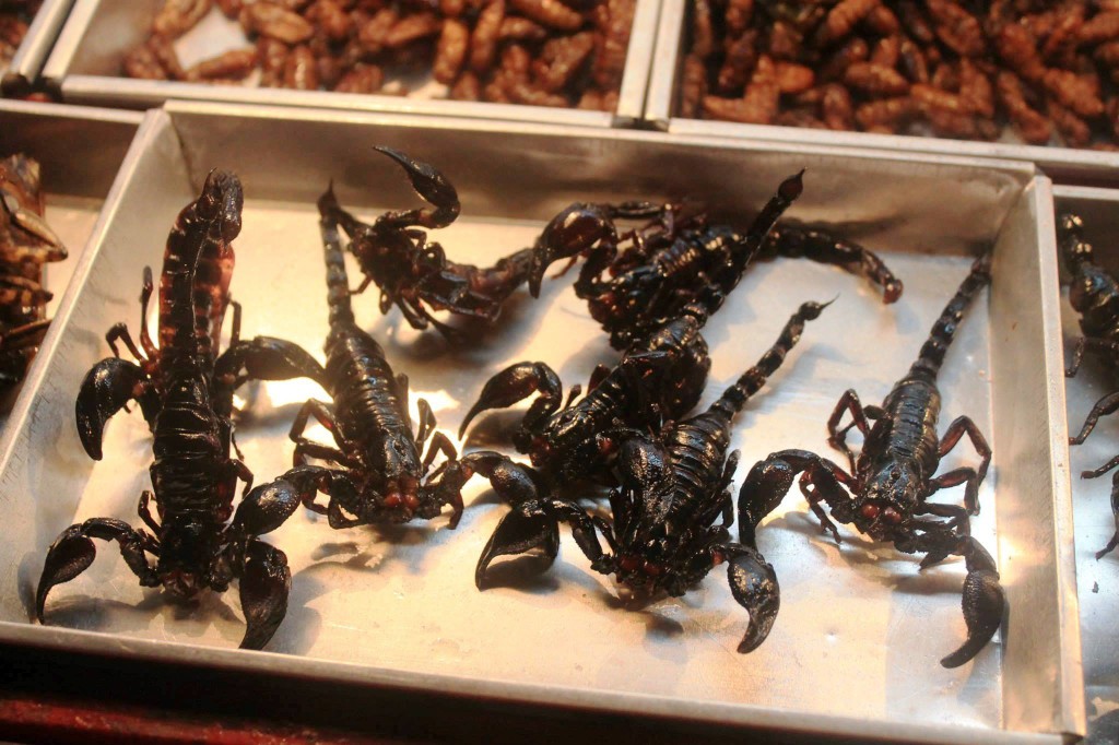 Exotic food Thailand