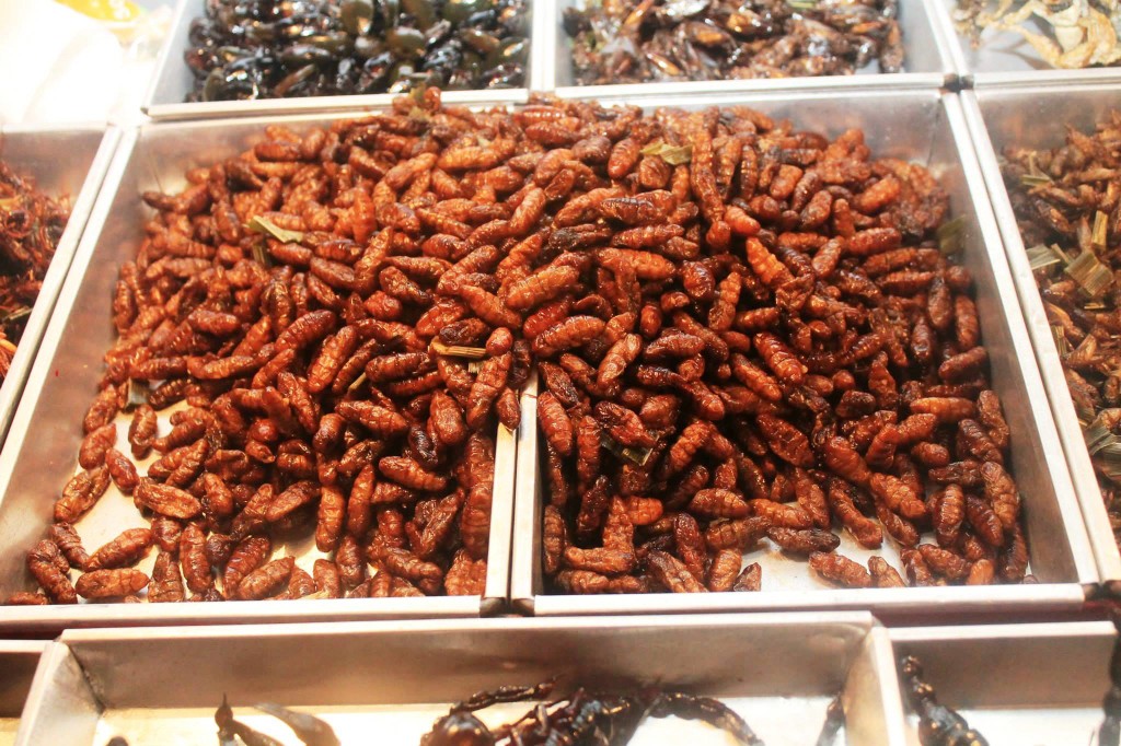 Exotic food bangkok