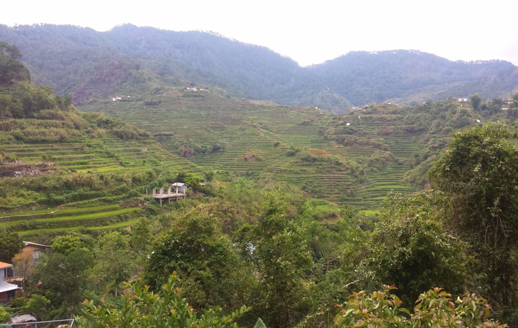 maligcong bontoc