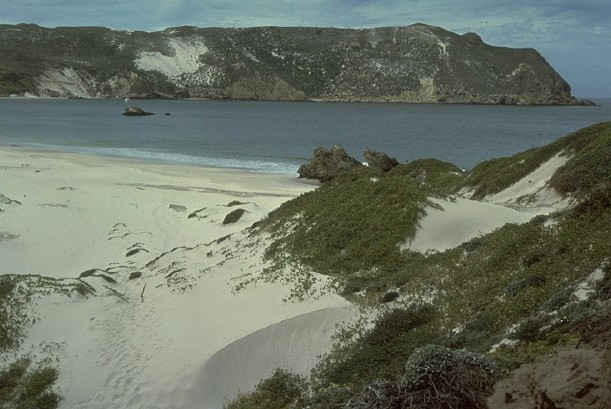 Channel Islands National Park