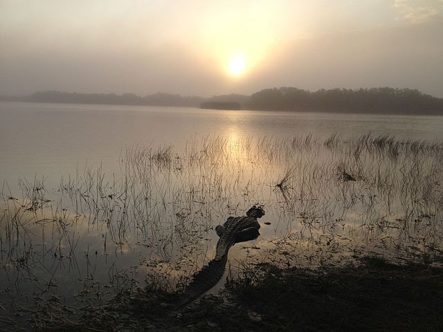 Everglades National Park