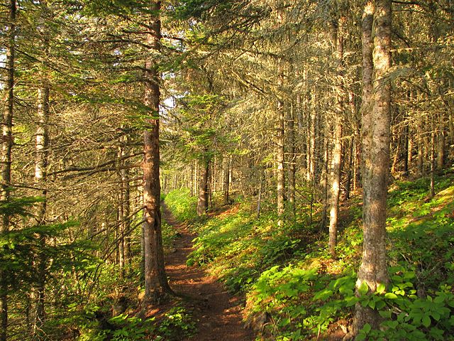 Isle Royale National Park