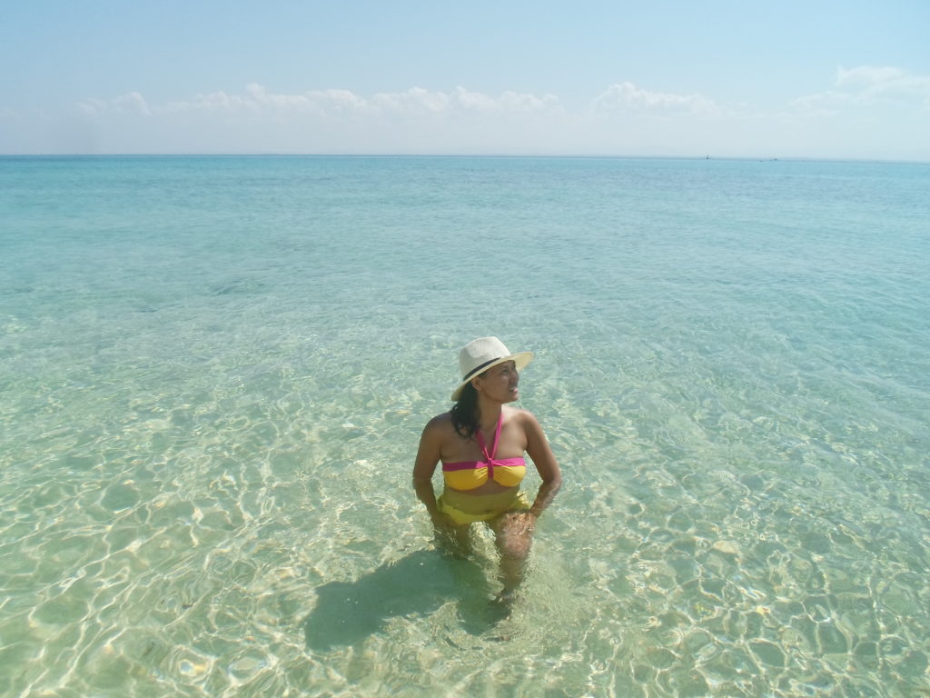 Herman Menor Island