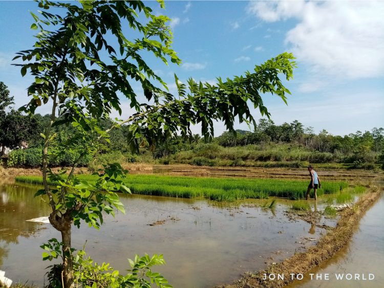 Bag-angan Farm