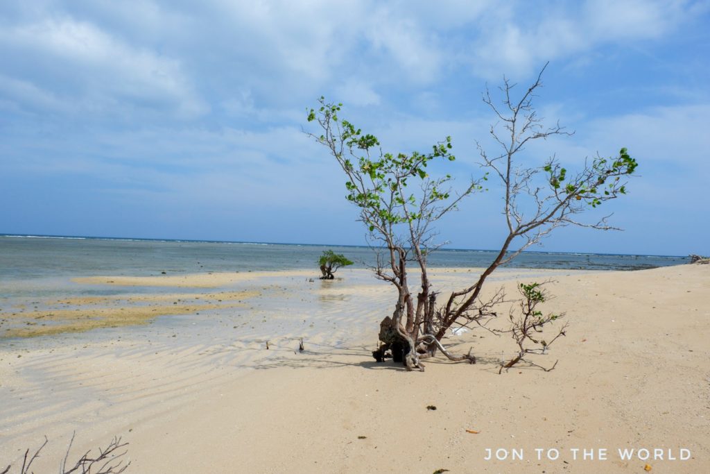 Pulong Guijanlo (3)