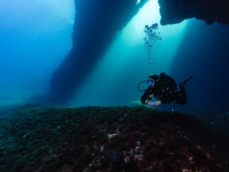 Diving