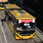 Edsa Carousel