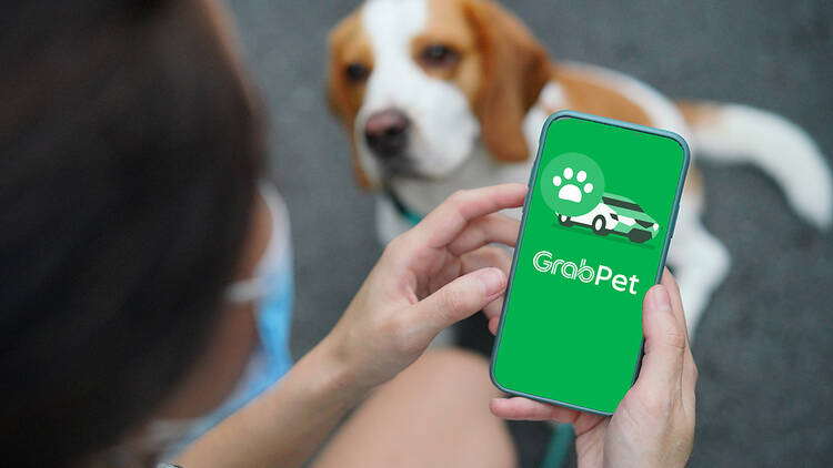 GrabPet