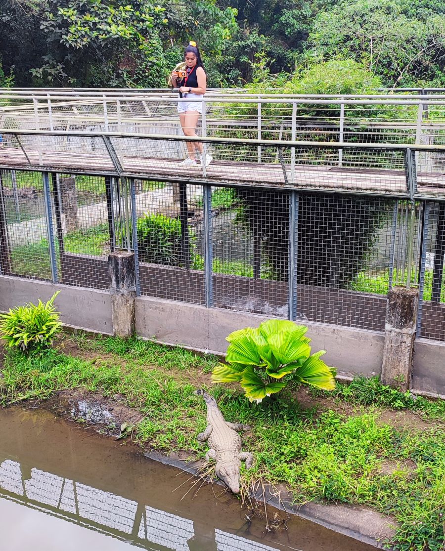 Philippine Crocodile Conservation Center Isabela