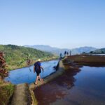 Mayoyao Rice Terraces
