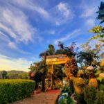 Aningalan's Highland Strawberry Garden
